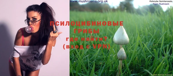 кристаллы Инта