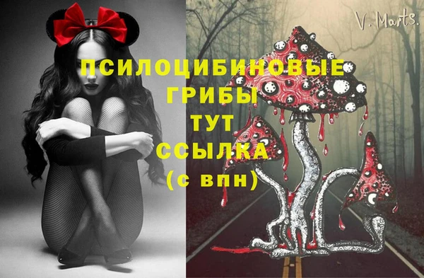молекула духа Инсар