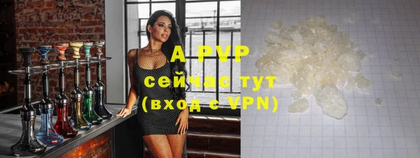 молекула духа Инсар