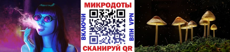 Галлюциногенные грибы Psilocybe Купить закладки Исилькуль
